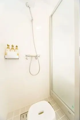 Tek Büyük Yataklı Oda, Sigara İçilebilir (with shower booth)