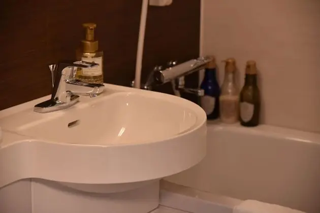 Traditional Tek Büyük Yataklı Oda, Sigara İçilmez