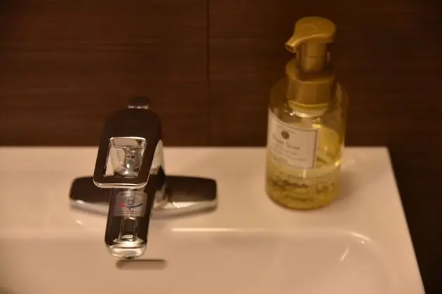 Traditional Tek Büyük Yataklı Oda, Sigara İçilmez