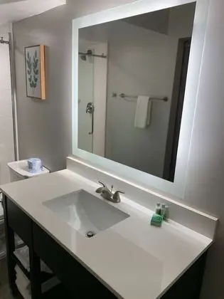 Standard Oda, 1 En Büyük (King) Boy Yatak, Sigara İçilmez, Buzdolabı ve Mikrodalga