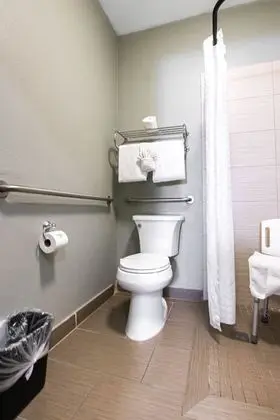 Standard Oda, 1 En Büyük (King) Boy Yatak, Engellilere Uygun