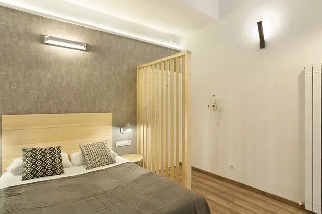 Çatı Katı (Loft), 1 Yatak Odası