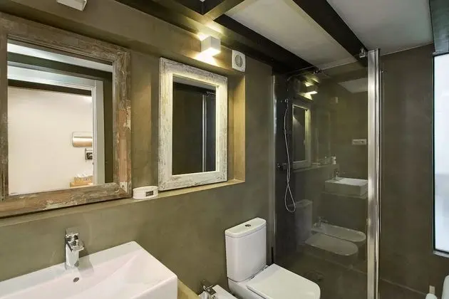 Çatı Katı (Loft), 1 Yatak Odası