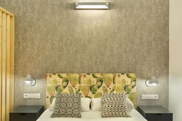 Çatı Katı (Loft), 1 Yatak Odası