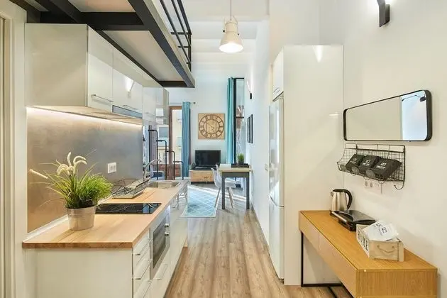 Çatı Katı (Loft), 1 Yatak Odası