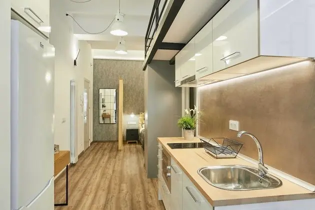 Çatı Katı (Loft), 1 Yatak Odası