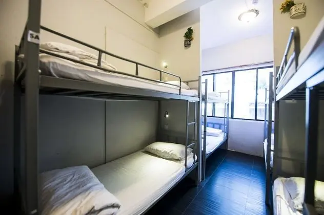 Superior Ortak Ranzalı Oda (Single Bed in 8-Beds Dorm)