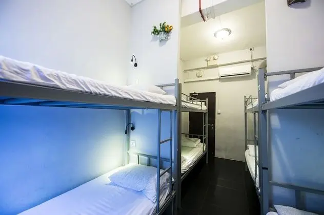 Superior Ortak Ranzalı Oda (Single Bed in 8-Beds Dorm)