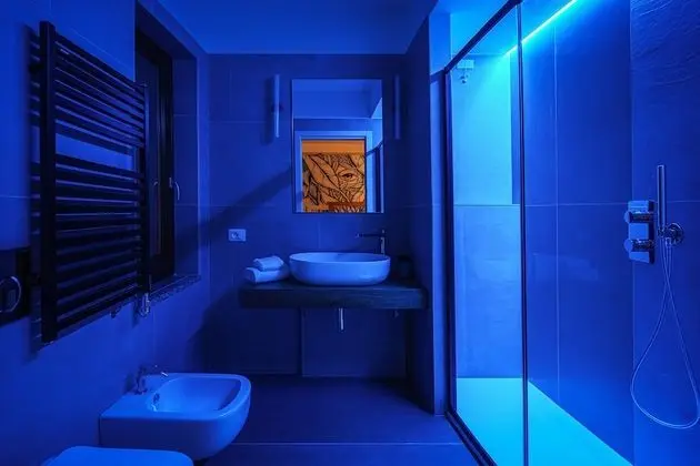 Superior Tek Büyük veya İki Ayrı Yataklı Oda