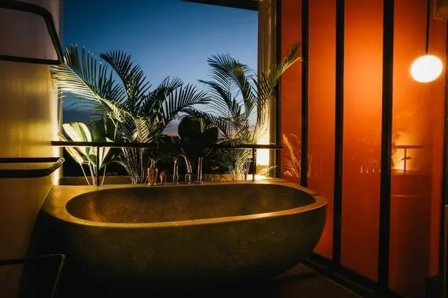 Çatı Katı Süiti (Penthouse) (Suite)