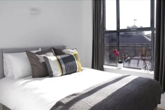 Premium Apart Daire, 1 Yatak Odası, Mutfak