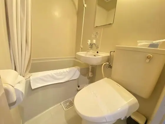 Tek Büyük Yataklı Oda, Sigara İçilebilir (B)