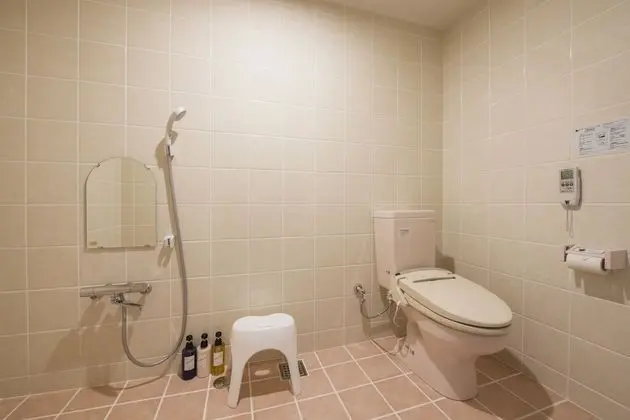 Standard Tek Büyük Yataklı Oda (Accessible)