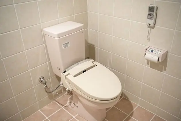 Standard Tek Büyük Yataklı Oda (Accessible)