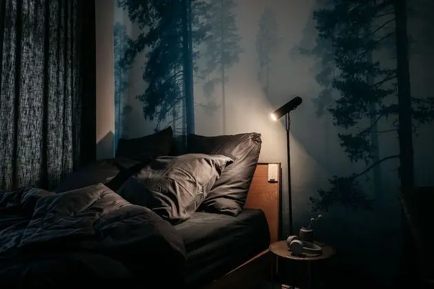 Apart Daire (Misty Forest)