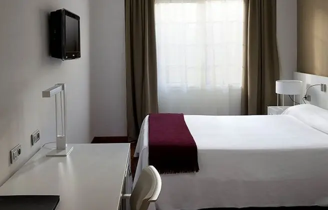 Basic Büyük Yataklı Tek Kişilik Oda, 1 Yatak Odası