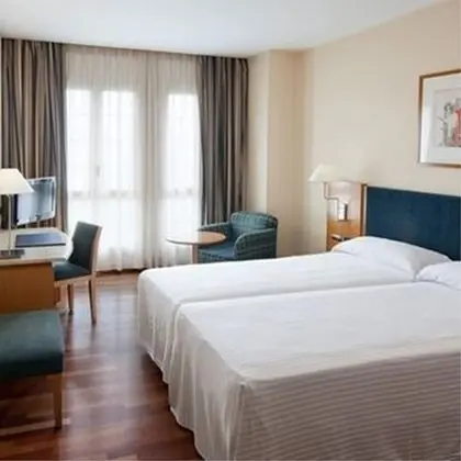 Basic Büyük Yataklı Tek Kişilik Oda, 1 Yatak Odası