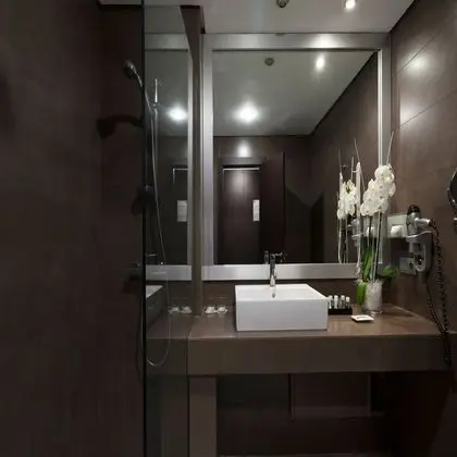 Basic Büyük Yataklı Tek Kişilik Oda, 1 Yatak Odası