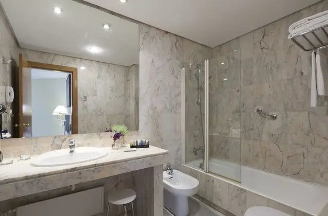 Basic Büyük Yataklı Tek Kişilik Oda, 1 Yatak Odası