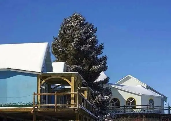 Classic Villa