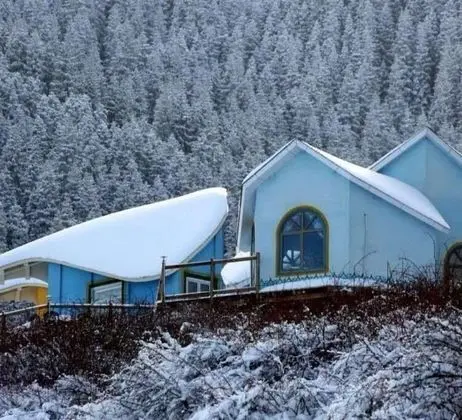 Exclusive Villa