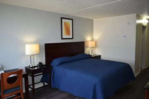 Premium Oda, 1 En Büyük (King) Boy Yatak