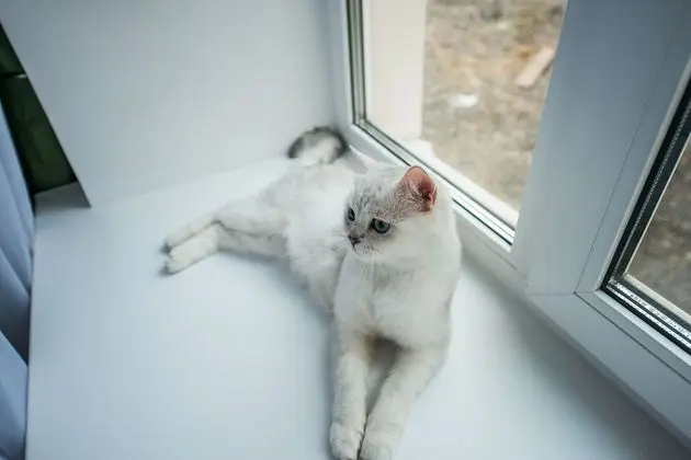 Comfort Tek Büyük veya İki Ayrı Yataklı Oda