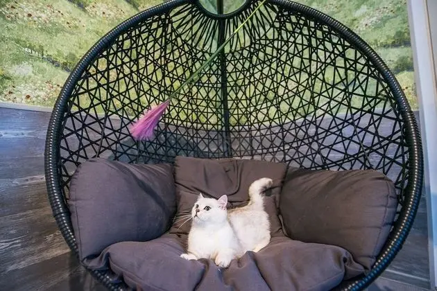 Comfort Tek Büyük veya İki Ayrı Yataklı Oda