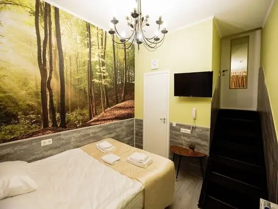 Standard Tek Büyük veya İki Ayrı Yataklı Oda