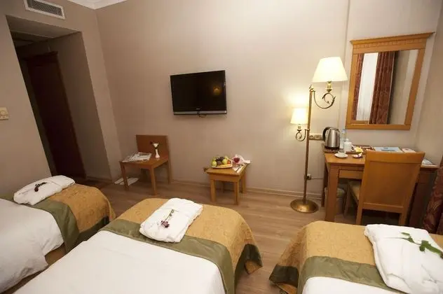 Classic Tek Büyük veya İki Ayrı Yataklı Oda, Manzarasız