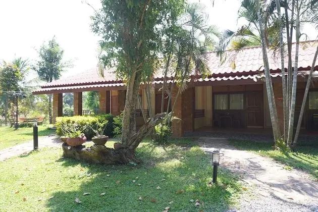 Superior Room with Garden View