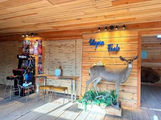 Luxury Çadır