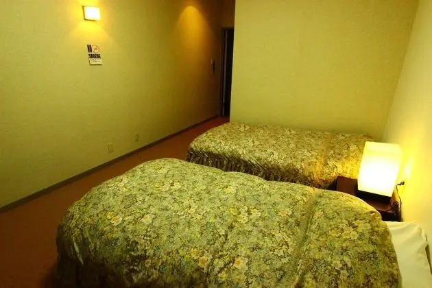 Deluxe İki Ayrı Yataklı Oda, Özel Banyo