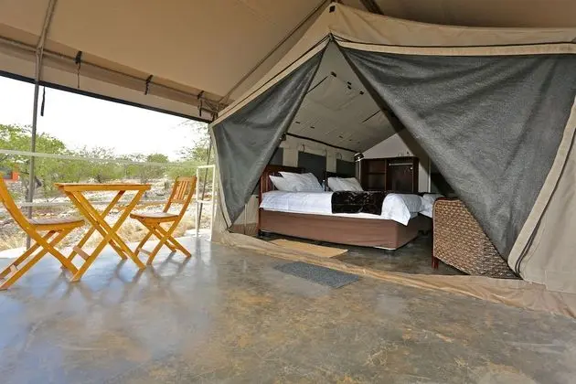 Standard Çadır (Meru Style)