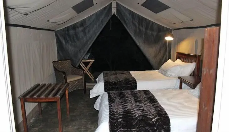 Standard Çadır (Meru Style)