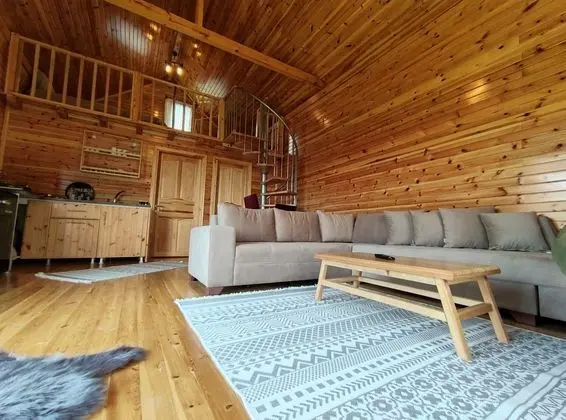 Dağ Evi 4