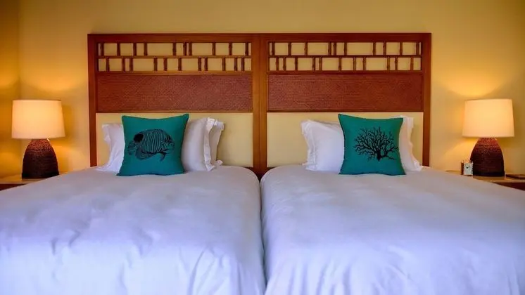 Villa, 2 Yatak Odası, Sigara İçilmez, Kişiye Özel Havuzlu (Twin)