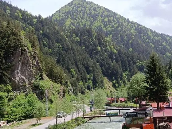 Comfort Oda, Nehir Manzaralı