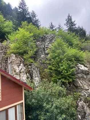 Standart Çift Kişilik Oda, Bahçe Manzaralı