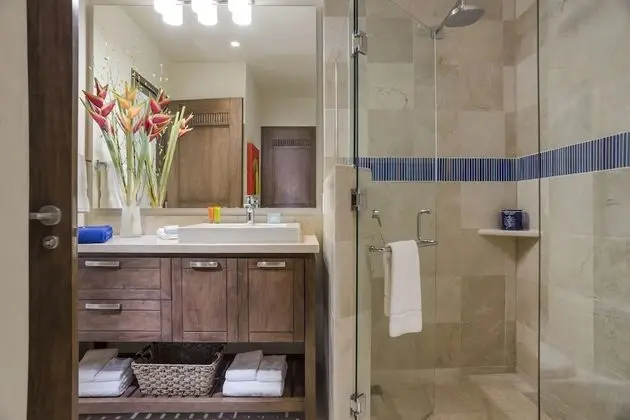 Luxury Süit, 1 Yatak Odası, Mutfak