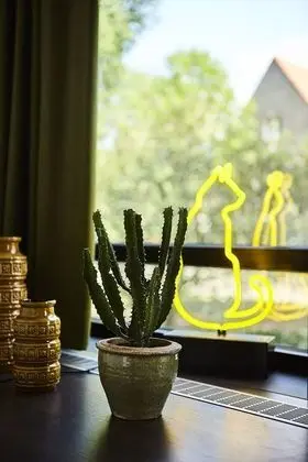 Comfort Tek Büyük Yataklı Oda