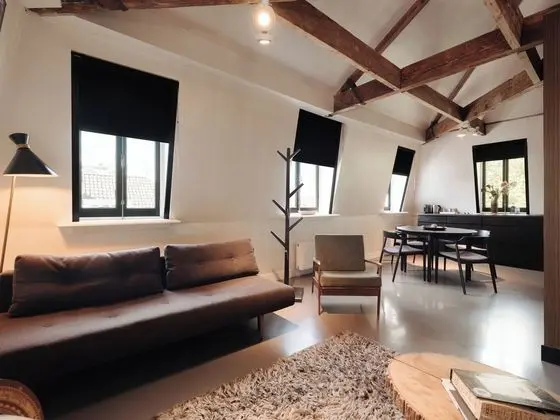 Çatı Katı (Loft), Ek Bina
