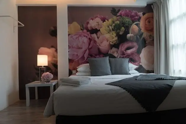 Deluxe Tek Büyük Yataklı Oda, 1 En Büyük (King) Boy Yatak, Sigara İçilmez