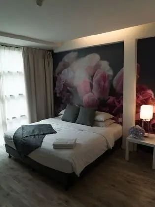 Deluxe Tek Büyük Yataklı Oda, 1 En Büyük (King) Boy Yatak, Sigara İçilmez