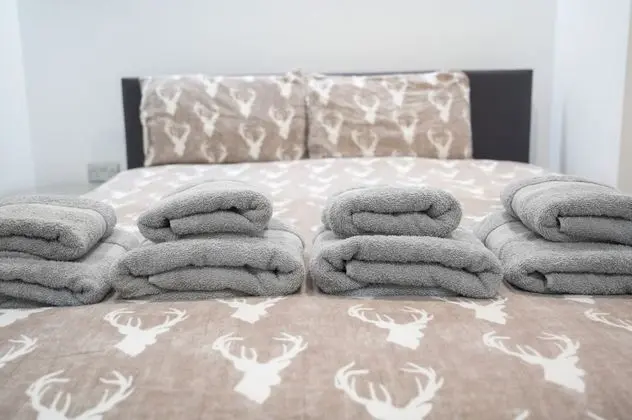 Apart Daire, 1 Yatak Odası (Flat 1)
