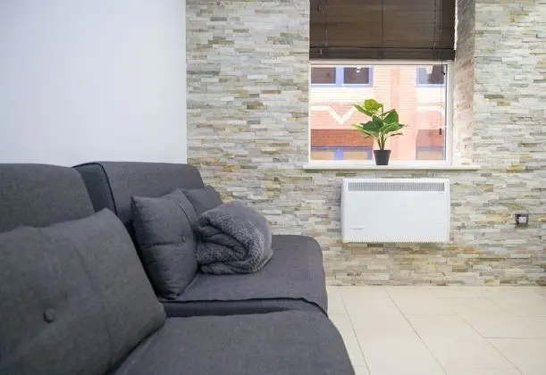 Apart Daire, 1 Yatak Odası (Flat 2)