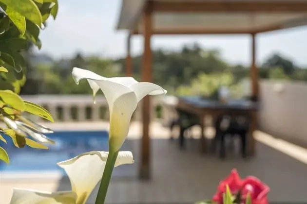 Villa, 3 Yatak Odası, Veranda