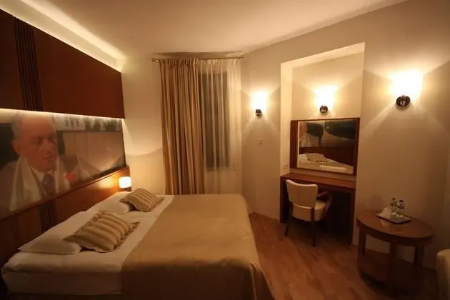 Standard Tek Büyük Yataklı Oda (King size)