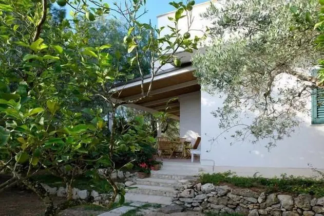 Apart Daire, 2 Yatak Odası (Vista Gelsi)