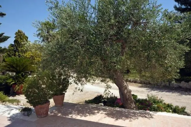 Luxury Apart Daire, 1 Yatak Odası (Vista Ulivi)